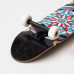 Круизер Footwork Compass 7.87 Круизер Footwork Compass 7.87